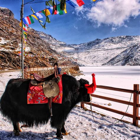 15 Famous Tourist places in Sikkim: - Geek of Adventure