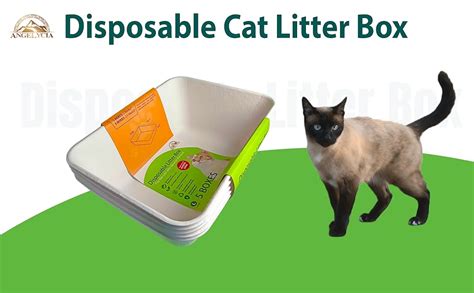 Amazon.com : ANGELYCIA Disposable Litter Boxes for Cats | Baking Soda ...