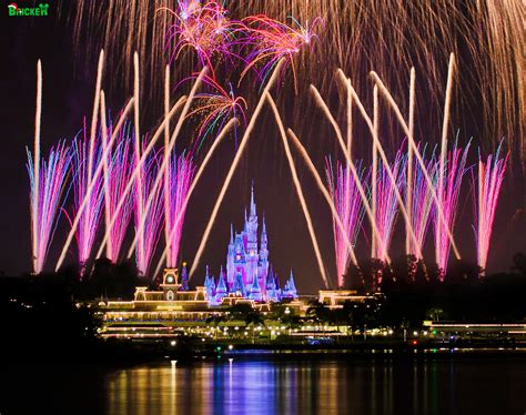 Christmas Is Coming! - Disney Photo of the Day - Disney Tourist Blog