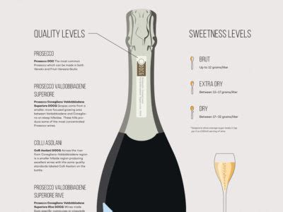 Champagne vs Prosecco: The Real Differences | Wine Folly