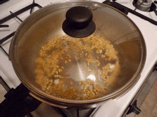 Popcorn GIF - Find & Share on GIPHY