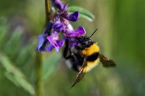 Manifesto Watch: Fine Gael on climate and nature | Climate Change