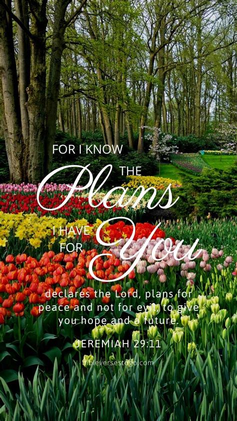 Flower Garden Bible Verse Wallpaper - FREE - Bible Verses To Go