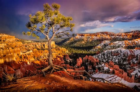 Bryce Canyon National Park - Images by Dave Koch Photography