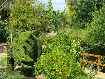 El Bosque encantado jardin botanico en madrid - para bebés, niños y ...