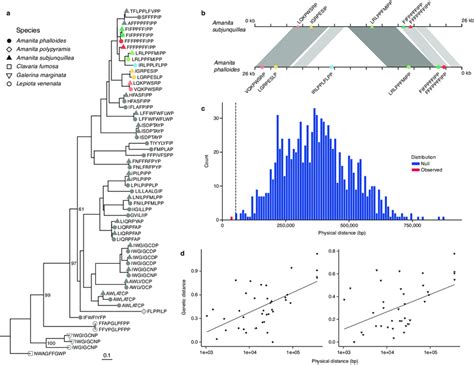 The MSDIN gene family expansion occurred independently across ...