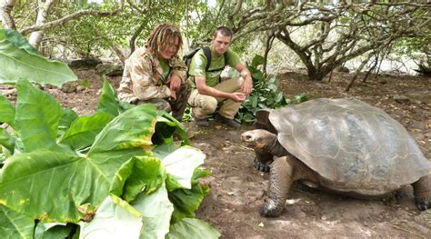 Giant Tortoise & Sea Lion Conservation in the Galapagos | Projects Abroad US