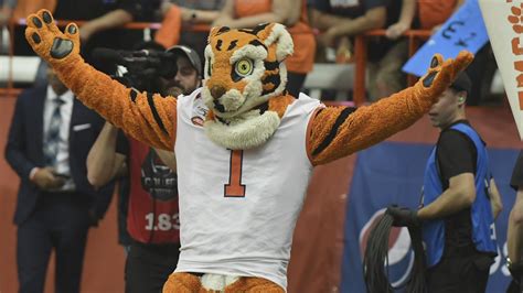 LSU fan's GoFundMe to buy Clemson a new mascot costume raises more than $2k | wwltv.com