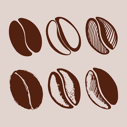 Hand Drawn Coffee Beans Stock Illustration - Download Image Now - iStock