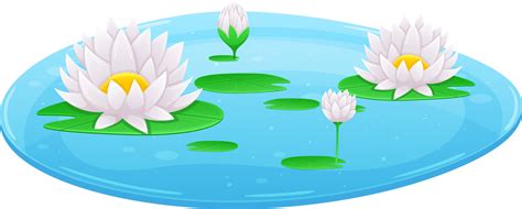 Water lily clipart 26749372 PNG