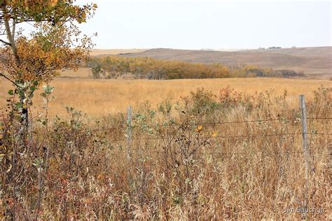 "Alberta Prairie Farmland in Autumn" by Jim Sauchyn | Redbubble