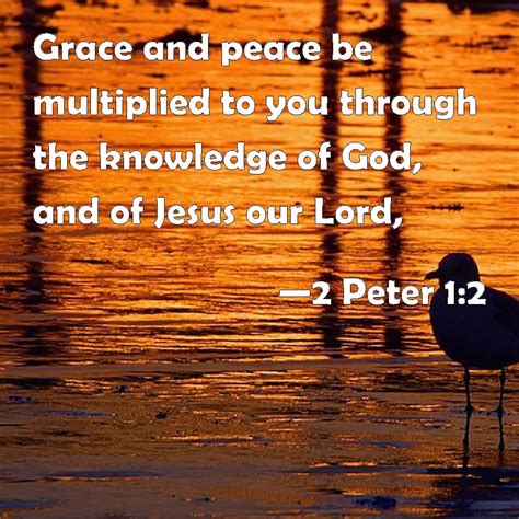 2 Peter 1:2 Grace and peace be multiplied to you through the knowledge ...