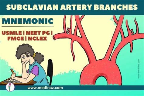 Subclavian Artery Branches Mnemonic