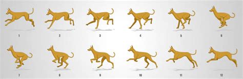 100+ Big Dog Jump Stock Illustrations, Royalty-Free Vector Graphics & Clip Art - iStock