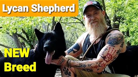 Lycan Shepherd - NEW Developing Breed - YouTube