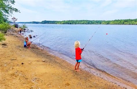 Tips For A Fun Kerr Lake Camping Trip (Serenity In NC)