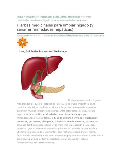 Hierbas Medicinales Para Sanar El Higado | Hígado | Plantas medicinales