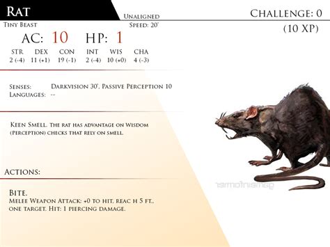 Rat by Almega-3 | Dnd, Monster cards, Dungeons and dragons homebrew