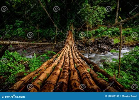 Hanging wooden bridge stock image. Image of step, grenadines - 128369187