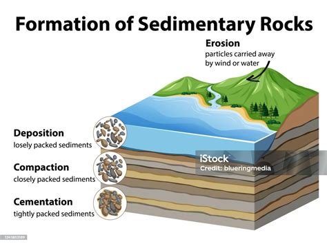 Formation Of Sedimentary Rocks Stock Illustration - Download Image Now - Sedimentary Rock ...