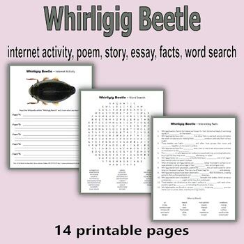 Whirligig Beetle - internet activity, poem, story, essay, facts, word search