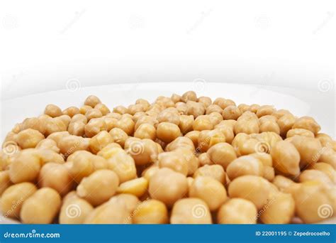 Cereal plant stock image. Image of dish, path, dishware - 22001195