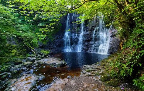 Explore Glenariff Forest Park: A Natural Haven 2024