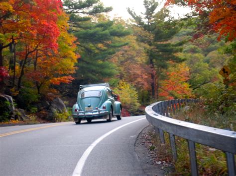 IMG_9428 | Fall Foliage VW Cruise, classicvwbugs.com | katrafernandez ...