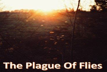 The Plague Of Flies - The Scriptures UK