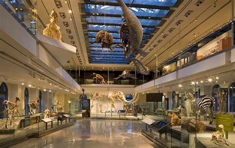 Natural History Museum of Los Angeles County | Discover La Mirada California