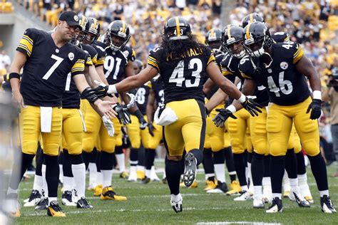 Steelers Troy Polamalu retires from the NFL - Behind the Steel Curtain