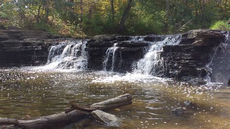 Waterfall Glen Forest Preserve