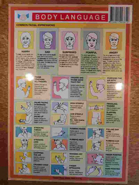 Body Language Chart