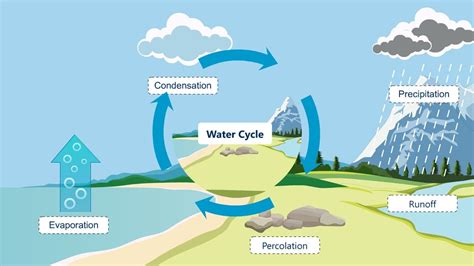 #Watercycle process | #hydrologicalcycle| #Watercycle Explanation | # ...