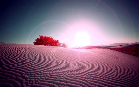 desert, Flare, Red, Desert Wallpapers HD / Desktop and Mobile Backgrounds