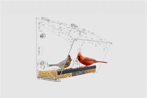 12 Best Window-Mounted Bird Feeders To Attract More Birds To Your Window