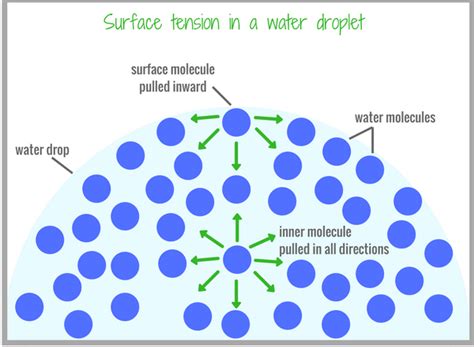 Why does surface tension act tangentially?