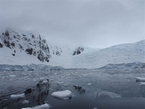 Antarctica: Day Four: Orne Harbor Cruising, Antarctic Peninsula – Anita ...