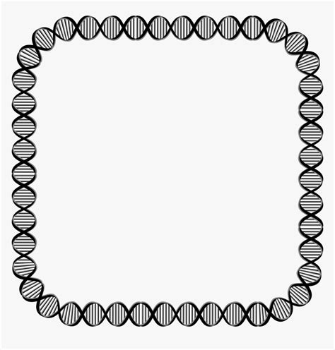 Transparent Dna Png Transparent - Dna Border Clipart, Png Download , Transparent Png Image - PNGitem