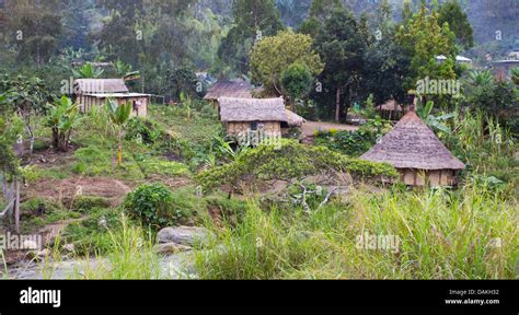 Traditional village homes by a river in the Papua New Guinea Highlands ...