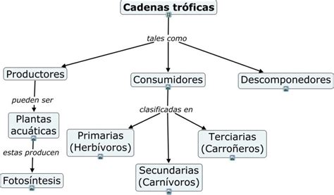 Mapa Conceptual - Concepto, cómo hacer uno y ejemplos