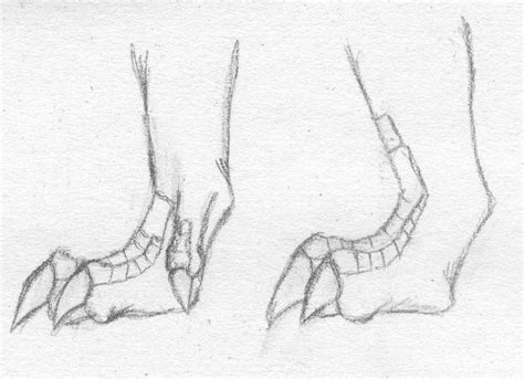 Image result for dragon feet drawings | Dragon drawing, Dragon sketch, Mythical creatures drawings