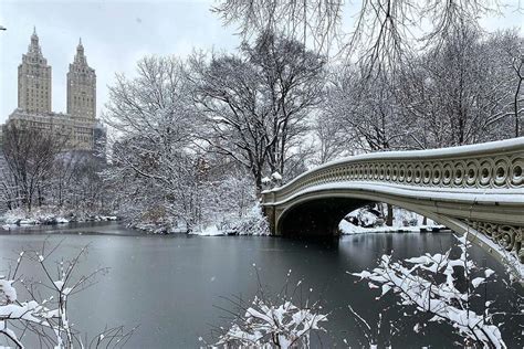 NYC Snow Storm Blankets Central Park In More Than 5 Inches Of Snow