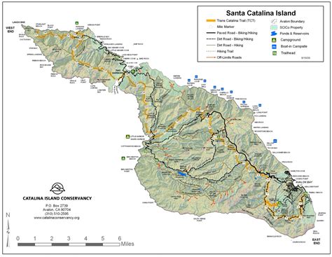 Trans Catalina Trail