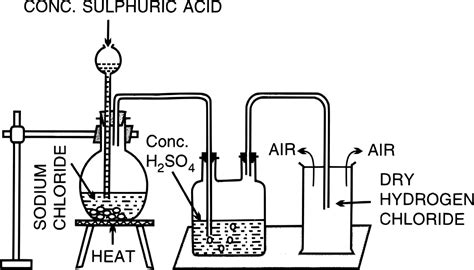 Chapter 8: Study of Compounds — Hydrogen Chloride | Selina Solutions ...