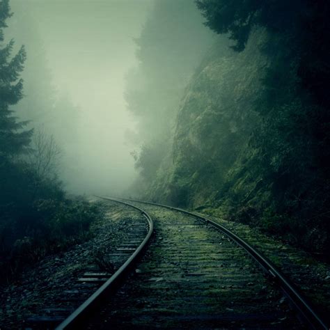 Foggy Train Tracks Forest iPad Air Wallpapers Free Download