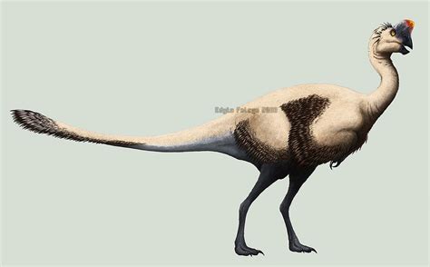 Oviraptor philoceratops. by Apsaravis on DeviantArt | Animales prehistóricos, Prehistórico ...