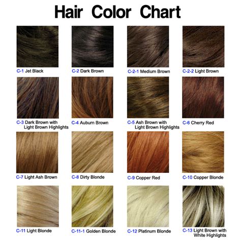 The Ultimate Guide to Hair Color – Visual Makeover