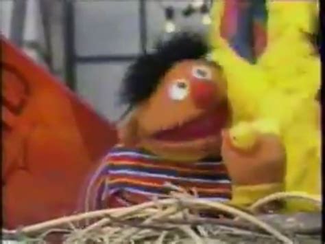 Pin by Anthony Peña on Sesame Street | Sesame street, Muppets, Childhood