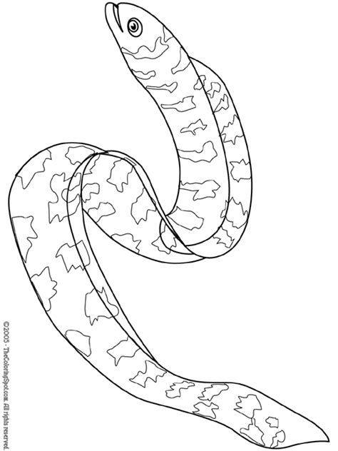 Eel Coloring Page 1 | Audio Stories for Kids | Free Coloring Pages | Colouring Printables